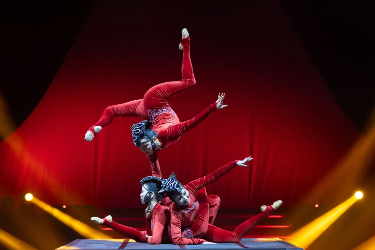 Contorcionistas da Mongólia apresentam número de risco