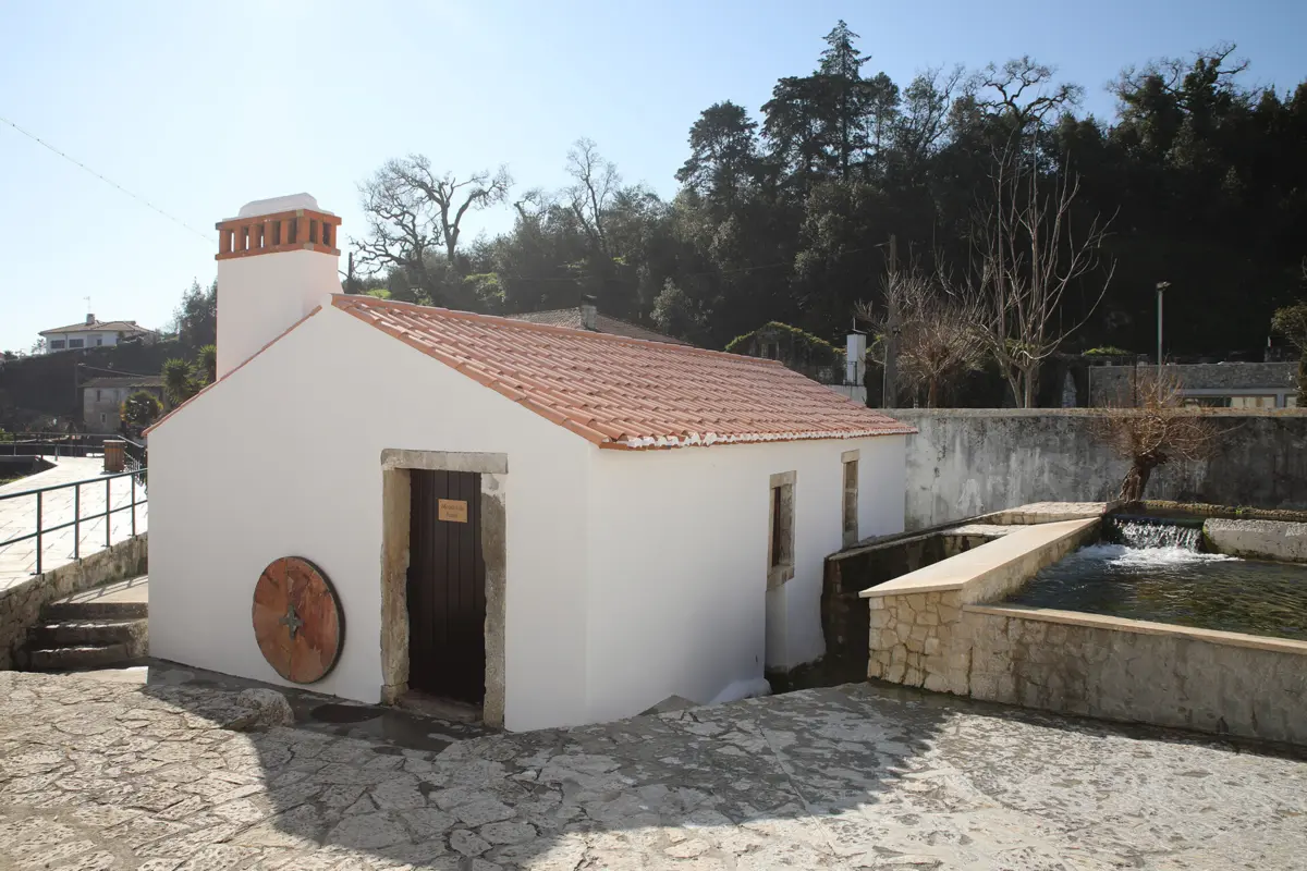 Programa no Moinho da Fonte, em Ançã, Cantanhede, inclui poesia e música