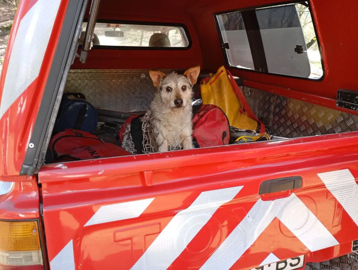 Fojo foi resgatado a 15 metros de profundidade