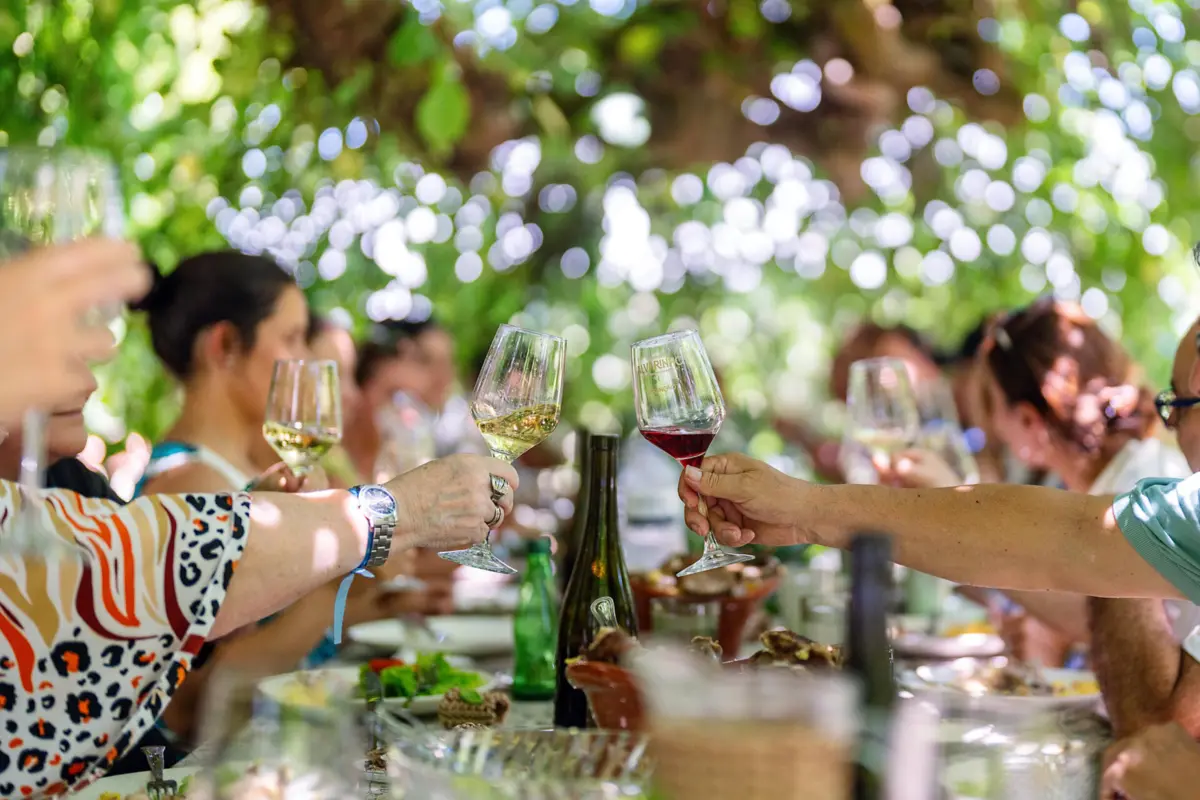 Almoço debaixo de um ulmeiro na Quinta de Vila Nova