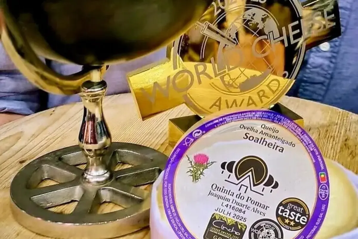 Imagem de contexto do artigo Queijo de ovelha da Soalheira no Fundão considerado o melhor do Mundo