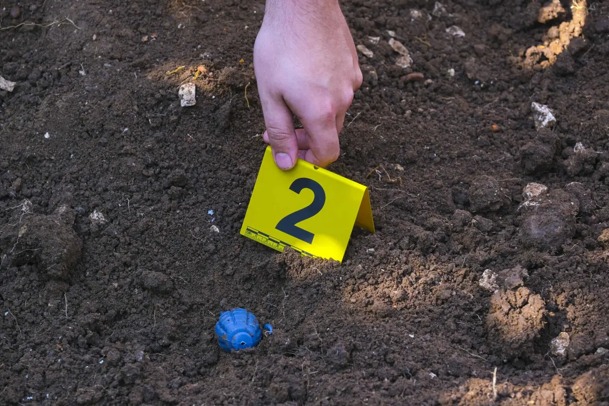 O esqueleto foi recolhido na Bacia de San Juan, no Novo México