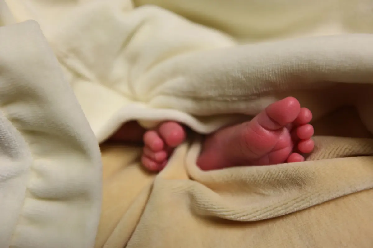 Arguido está indiciado de 1165 crimes de pornografia de menores