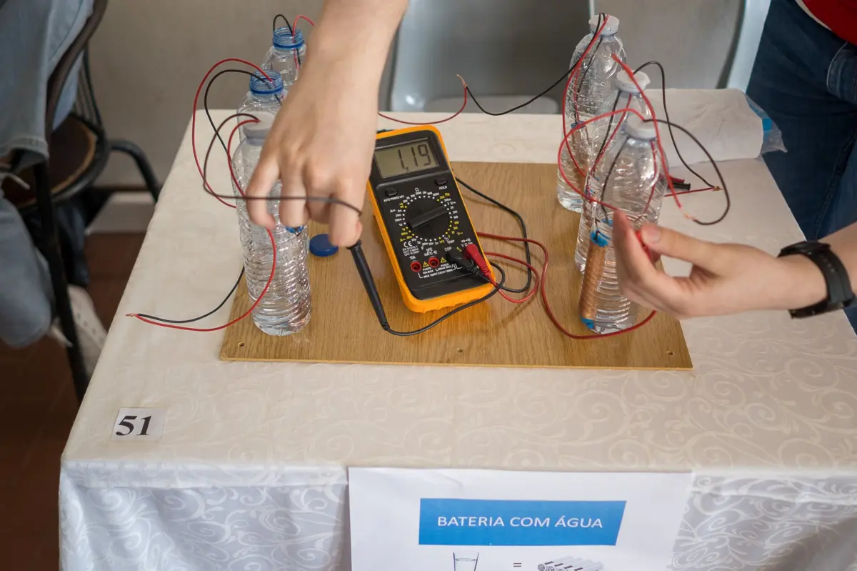 O Ciência Viva no Verão é um programa que pretende aproximar os cidadãos da ciência