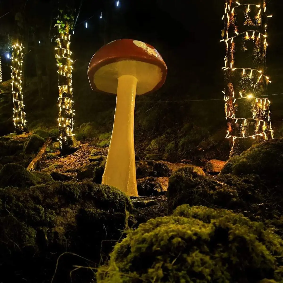 Imagem de contexto do artigo “Floresta Encantada” de Arcos de Valdevez regressa a 1 de dezembro em novo local