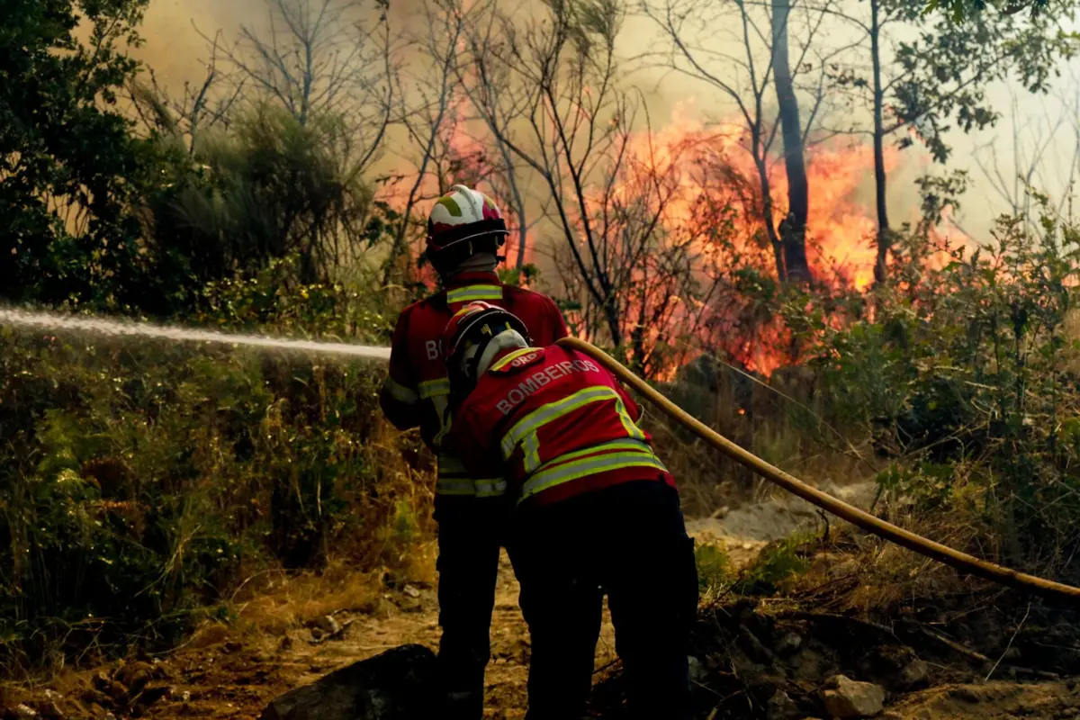 Imagem de contexto do artigo Mais de 100 operacionais combatem fogo em Sintra que cortou A16