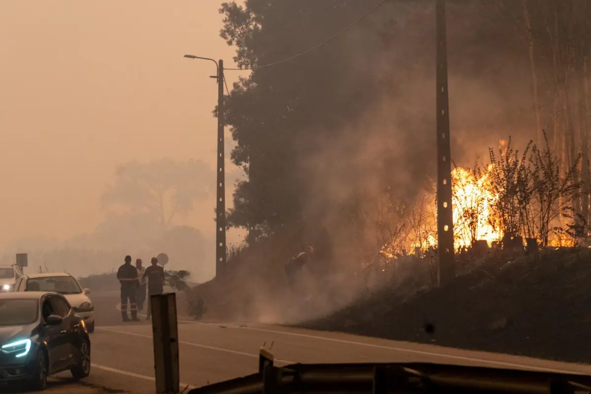 Imagem de contexto do artigo Dezenas de casas atingidas. O rasto de destruição do fogo que sufoca o país