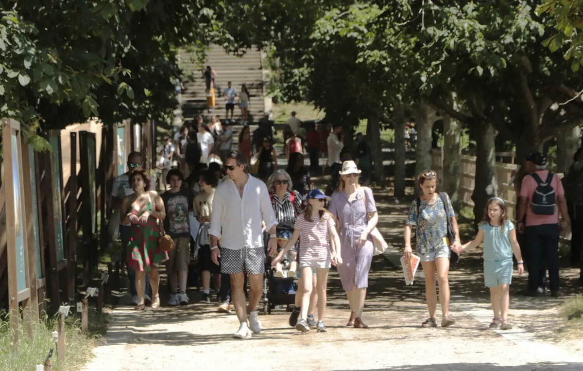 Prepare a visita para as 50 horas