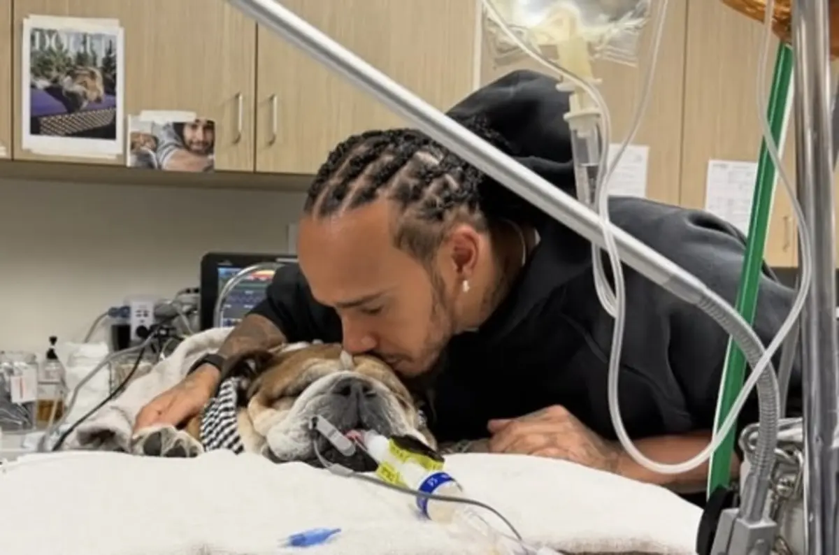 Piloto de Fórmula 1 sofre pelo fiel amigo de quatro patas