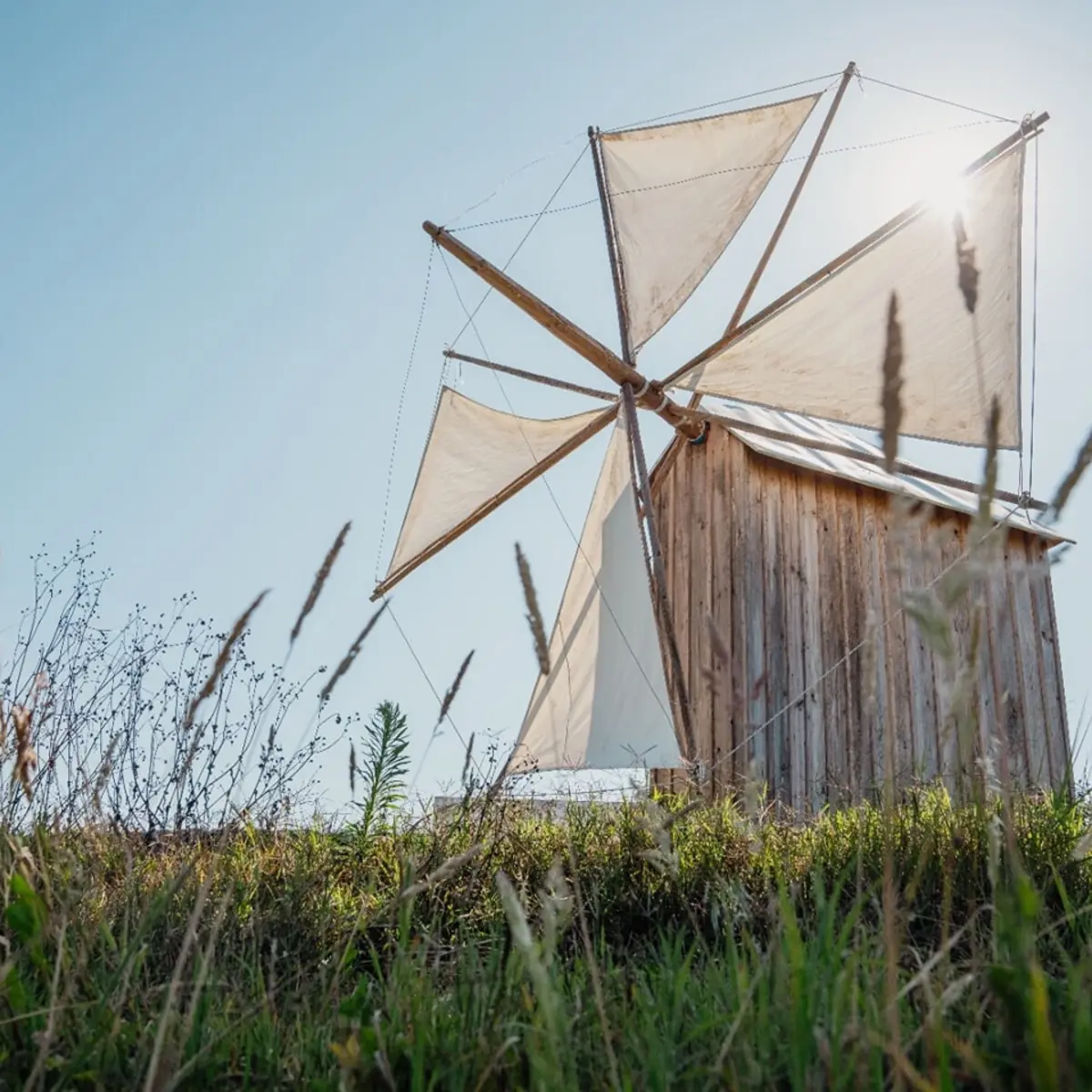 Vários municípios já celebravam o Dia Nacional dos Moinhos com atividades e criaram rotas municipais