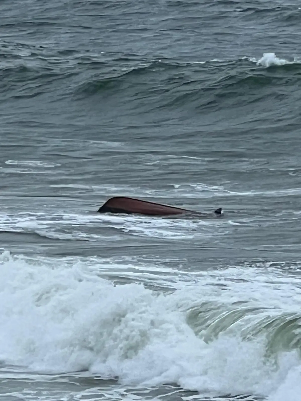 Imagem de contexto do artigo Golpe de mar vira embarcação com dois pescadores no Tejo