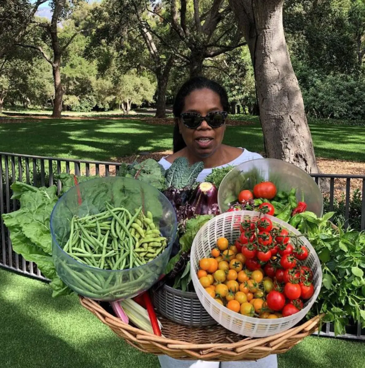 A comunicadora Oprah mostra, com frequência, o que vai colhendo na sua propriedade