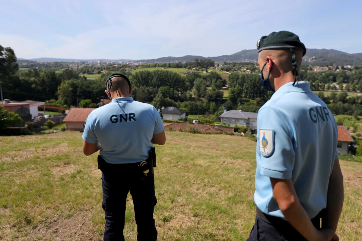 GNR arrecadou 2,5 milhões de euros em coimas por falta de limpeza de terrenos