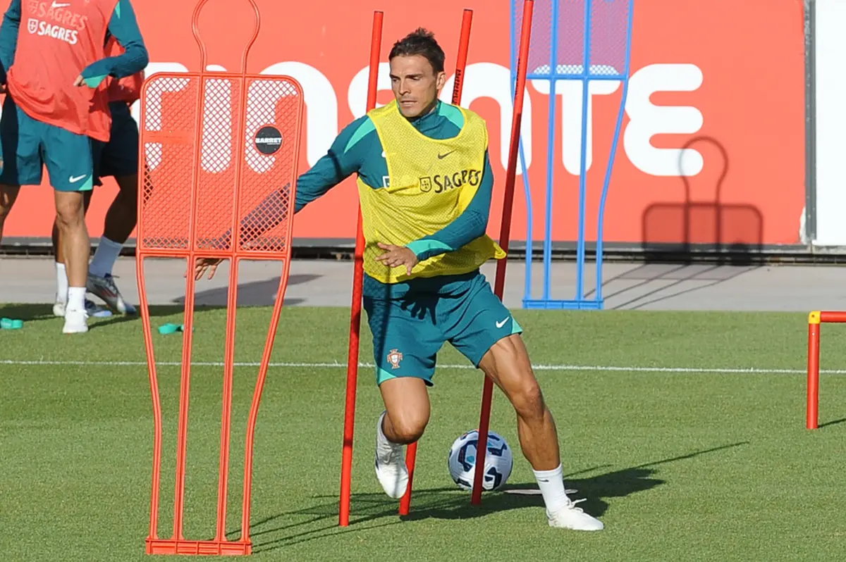 João Palhinha lesionou-se ao serviço da seleção de Portugal