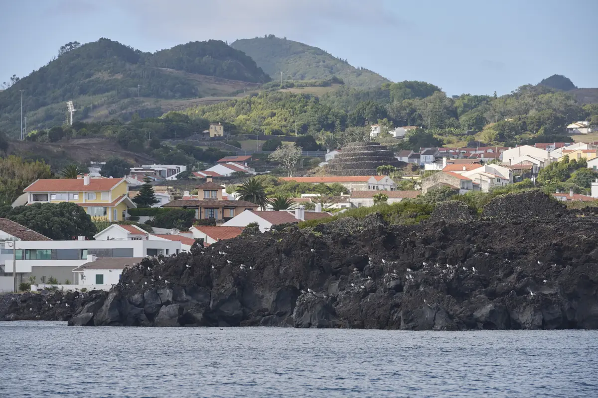 Produto estupefaciente foi apreendido numa operação da Polícia Judiciária, em São Miguel