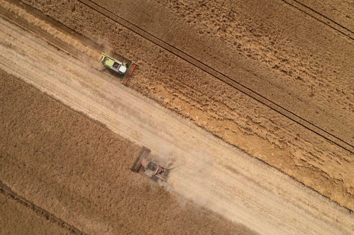 Imagem de contexto do artigo Kiev rejeita suavizar sanções à Rússia em troca de regresso a acordo de cereais