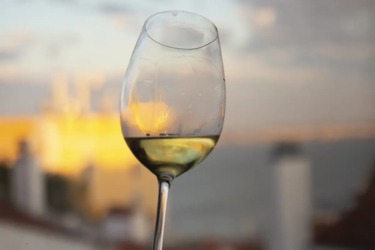 Imagem de contexto do artigo Lisboa: Campo das Cebolas recebe festa com provas de vinho gratuitas