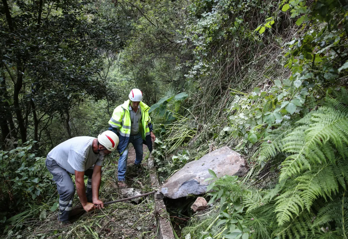 Imagem de contexto do artigo Turista espanhola de 20 anos morre em derrocada na Madeira