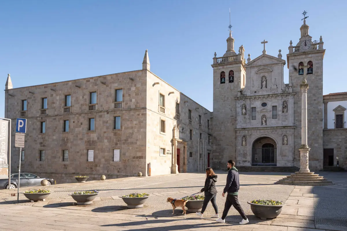 Empresa de transportes com prejuízo de dois milhões de euros num ano
