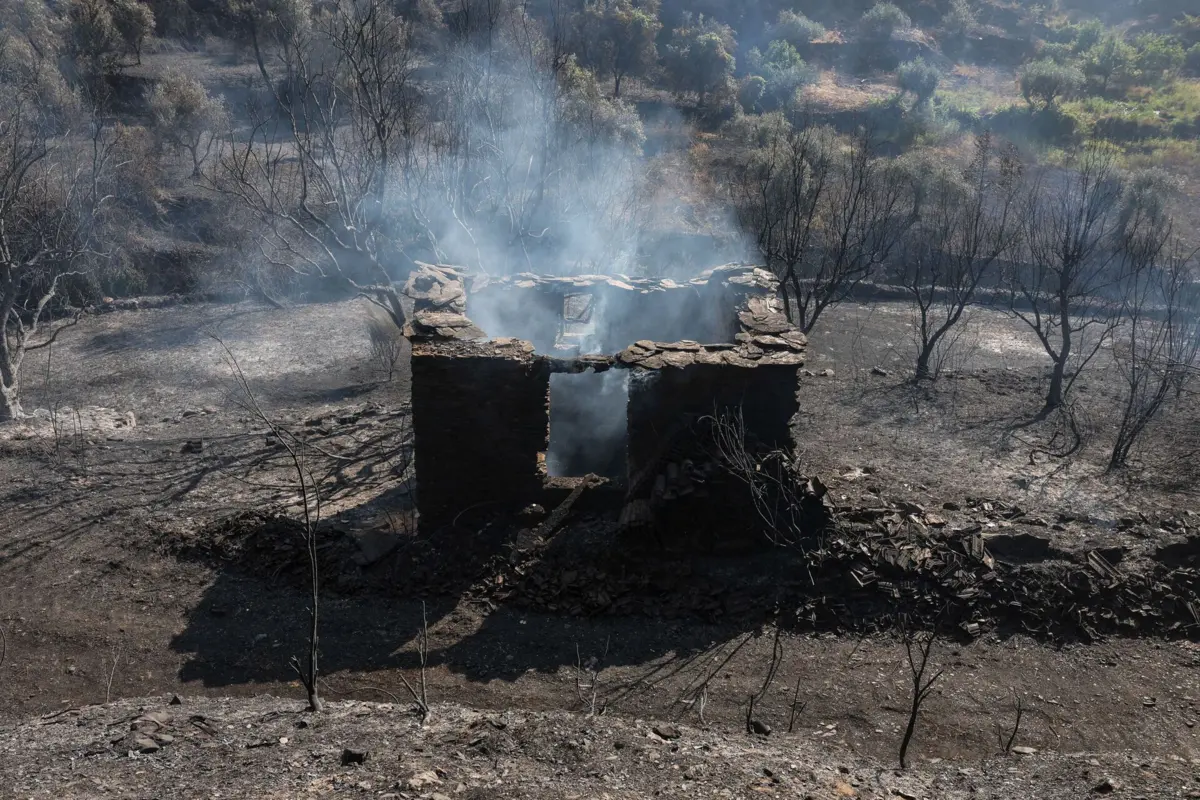 Incêndios deixam terrenos instáveis, alerta a autarquia da Lousã