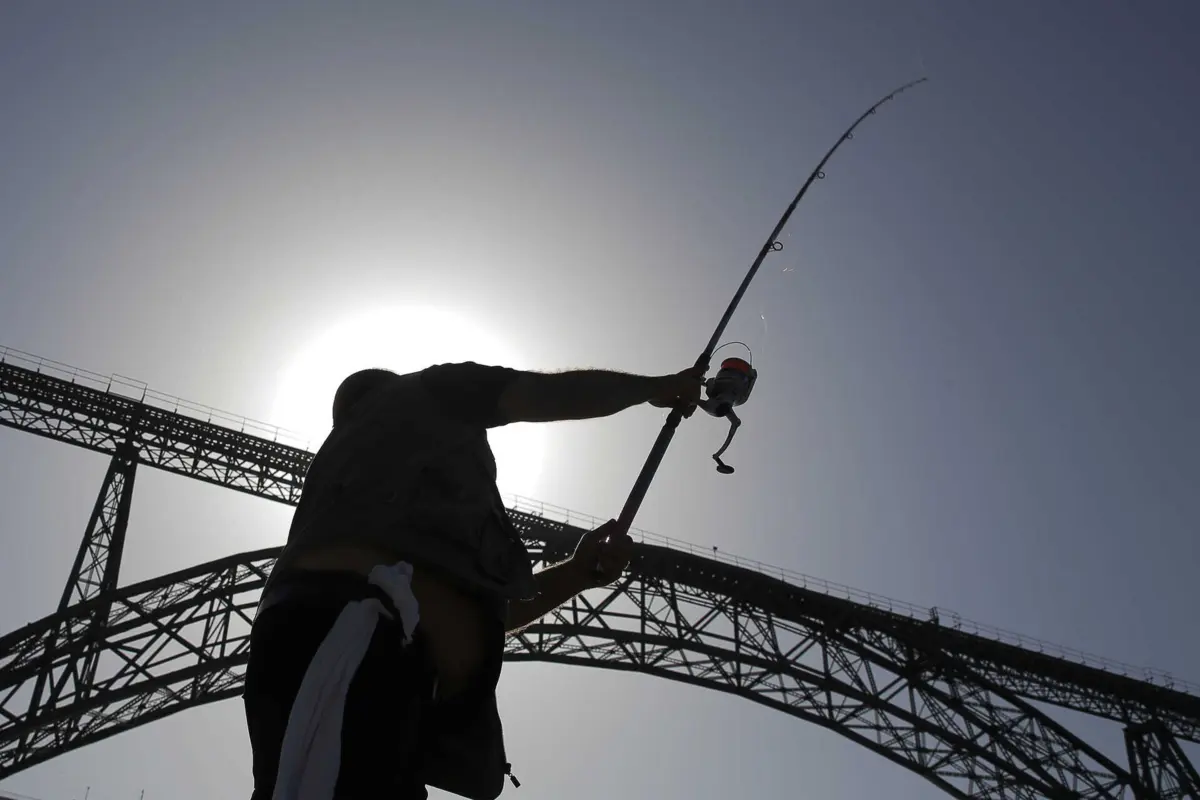 Eduardo Vítor Rodrigues põe futuro da ponte Maria Pia nas mãos do novo governo