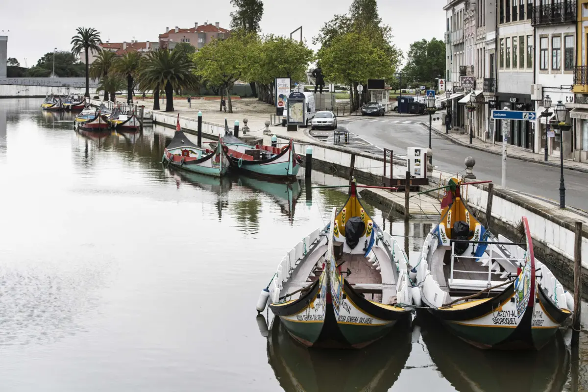 Operadores pagaram somas elevadas pelo direito de explorar os barcos turísticos em Aveiro