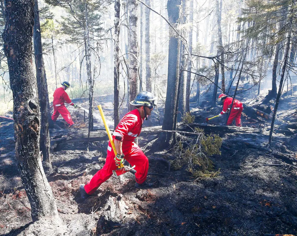 Há 423 fogos ativos no Canadá, metade dos quais fora de controlo.