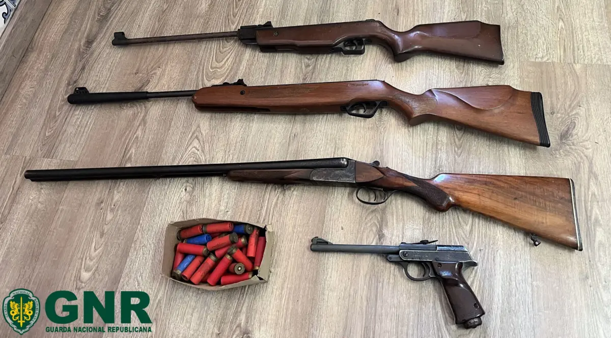 Idoso detido por violência doméstica tinha quatro armas em casa