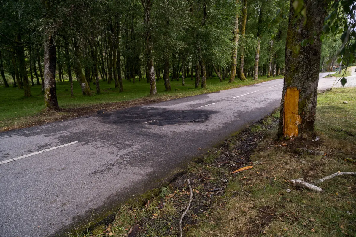 Quatro jovens morreram no despiste