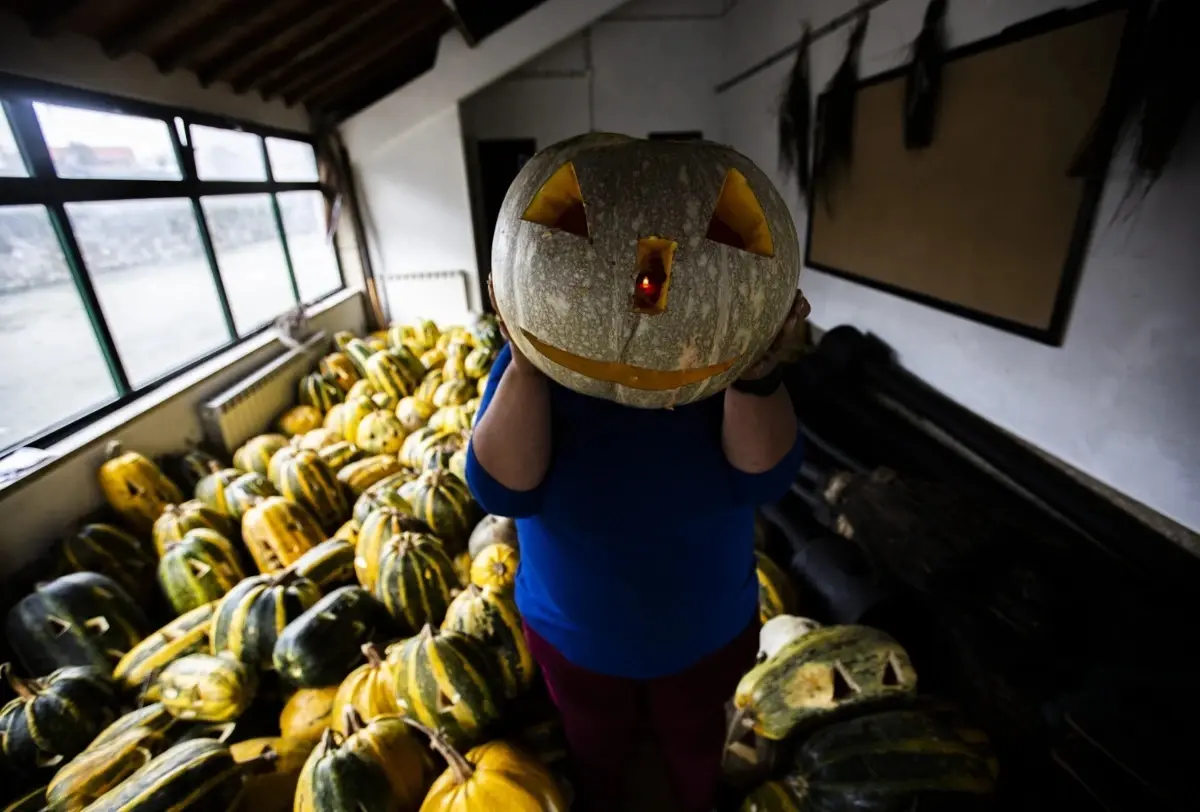 Abóboras são usadas nesta época para criar lanternas assustadoras