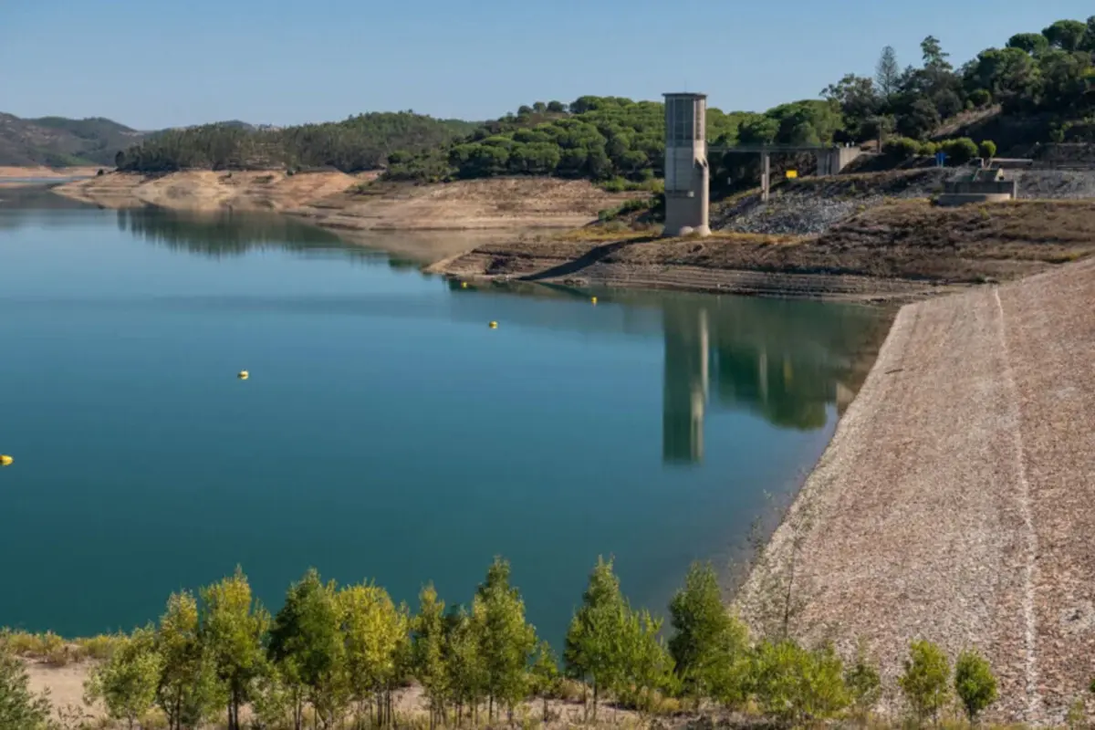 Relatório revela importância económica e potencial da atividade agrícola do Perímetro de Rega do Mira (PRM)