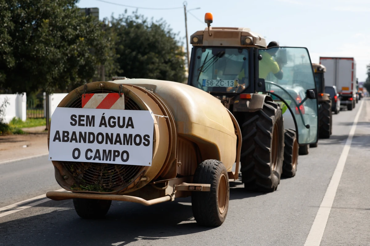 Imagem de contexto do artigo Agricultores algarvios em protesto apelam ao próximo Governo que tome medidas