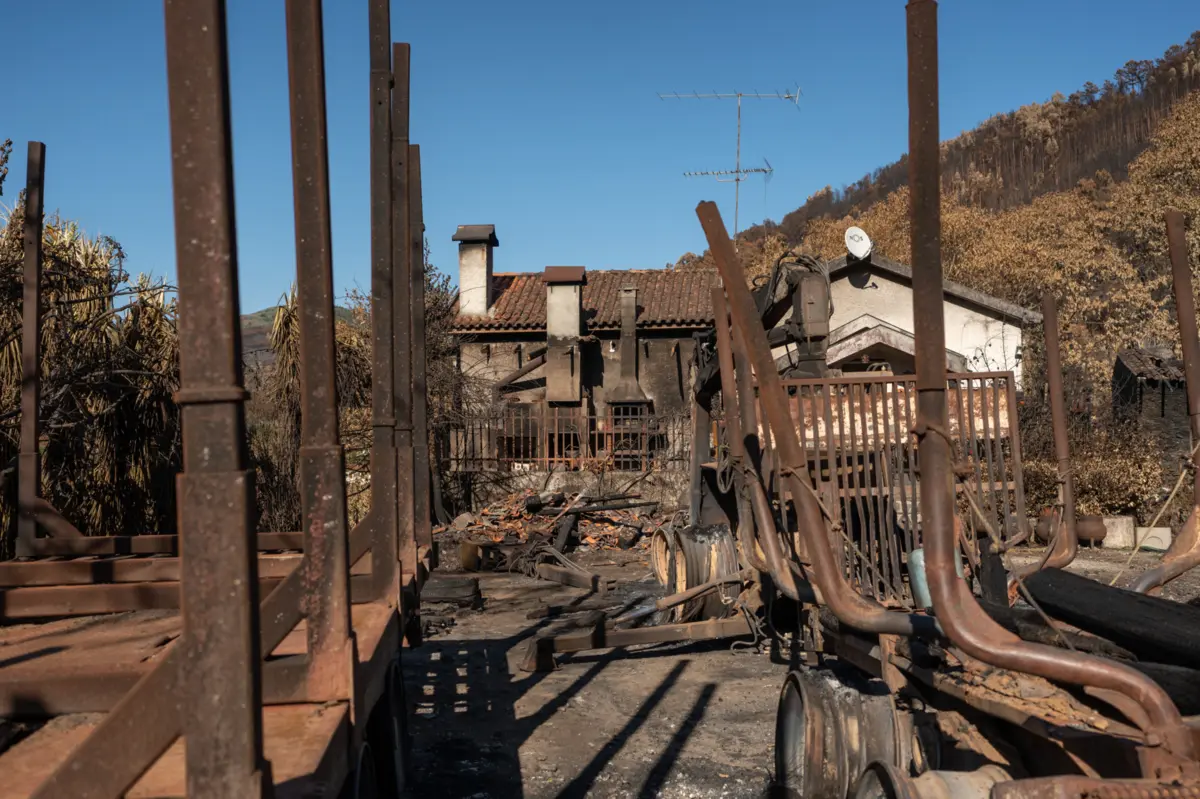 Incêndios rurais provocam todos os anos altos prejuízos aos agricultores