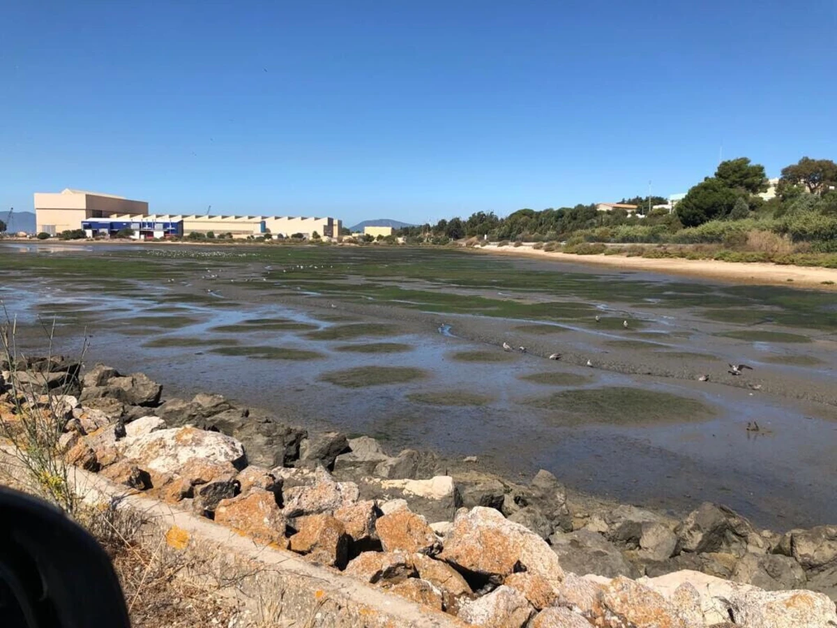 A organização apela à mobilização da população na consulta pública