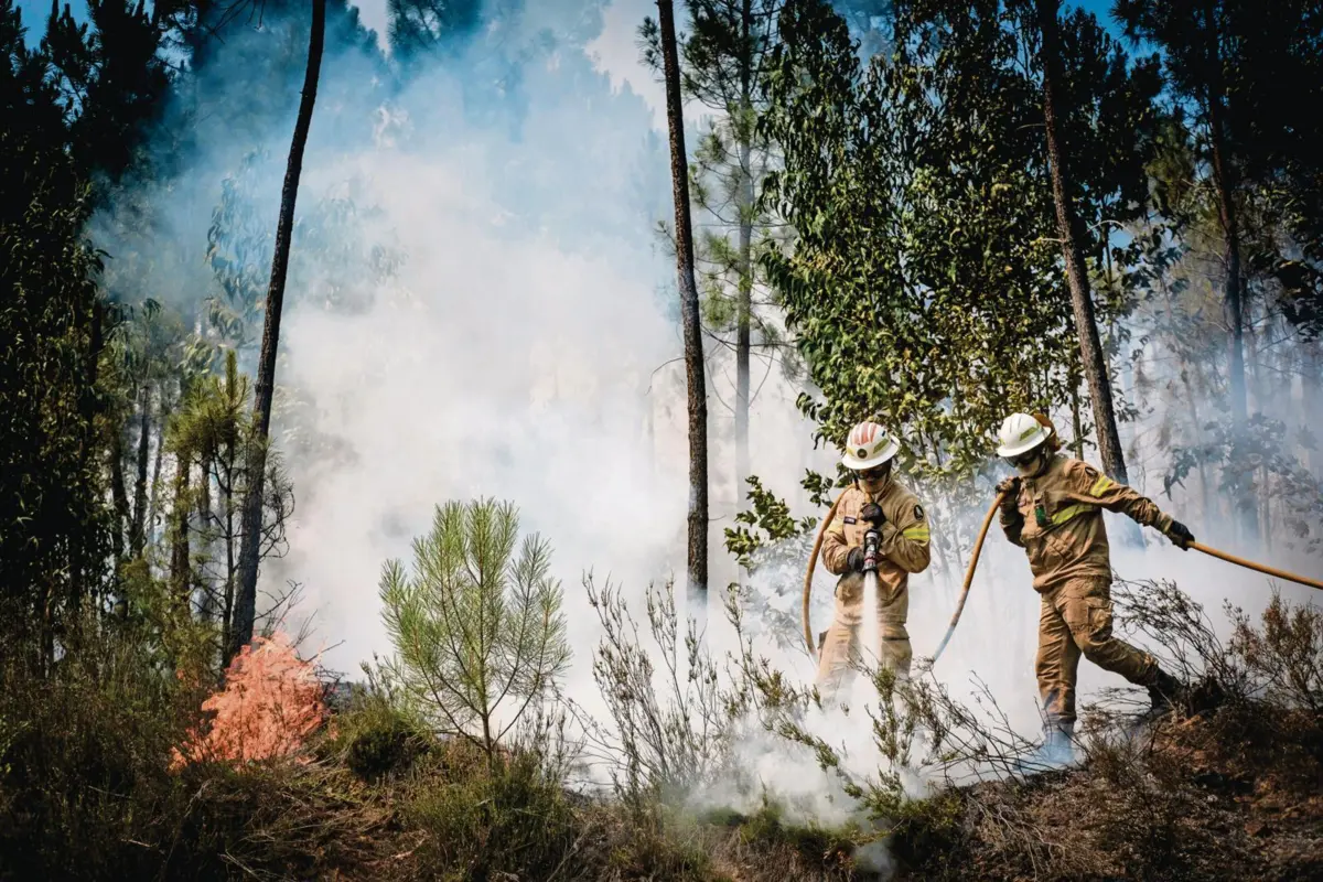 Conhecido como bombeiro sem farda, Avelino Mateus Ferreira foi uma das vítimas dos fogos de 2017