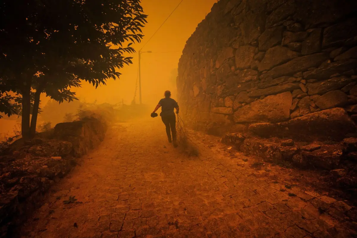 Imagem de contexto do artigo Quatro bombeiros feridos e fogo à porta da cidade de Mêda