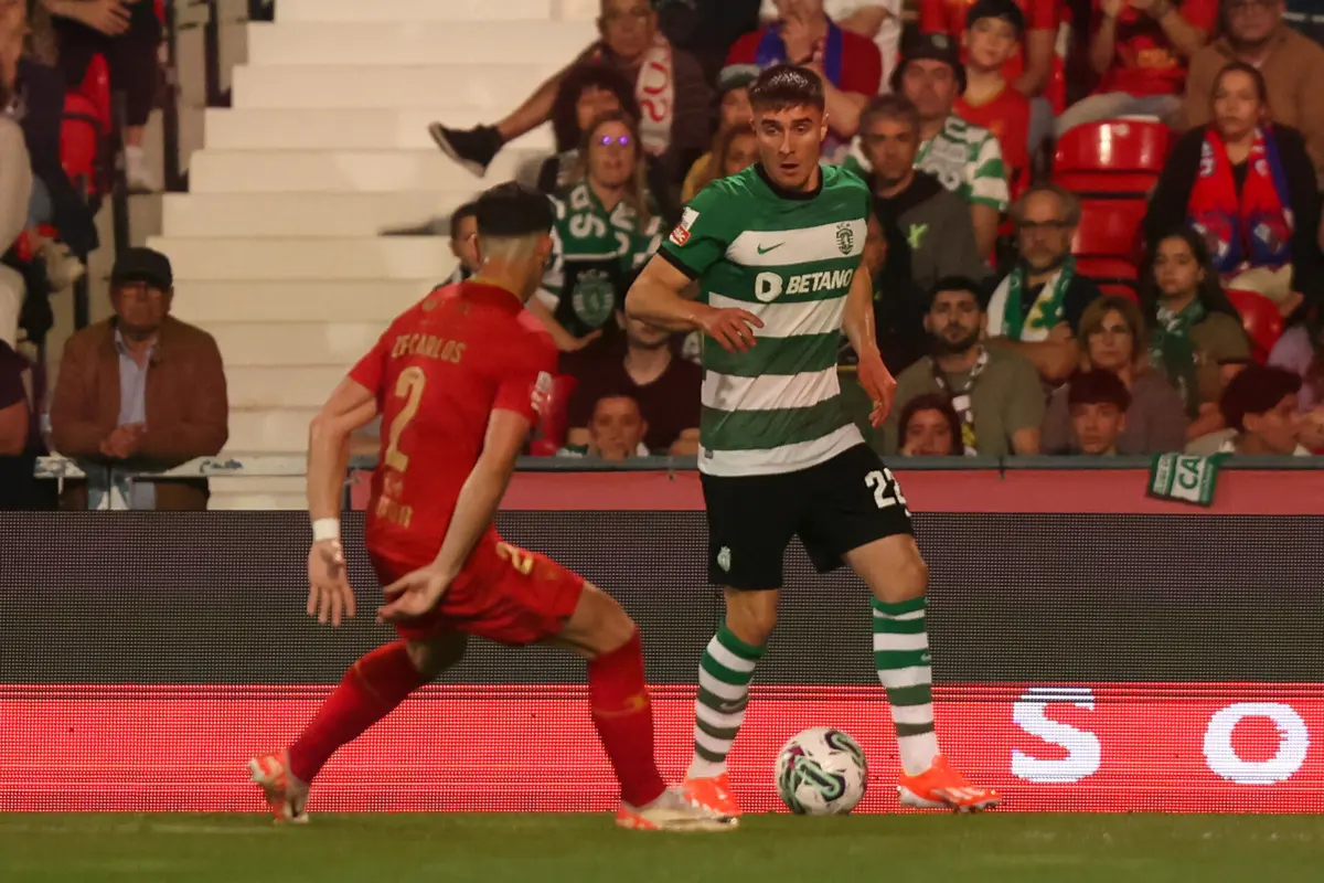 Fresneda pouco utilizado