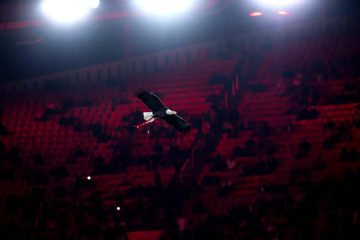 Imagem de contexto do artigo Benfica anuncia sessão de esclarecimento relativamente ao projeto Benfica District