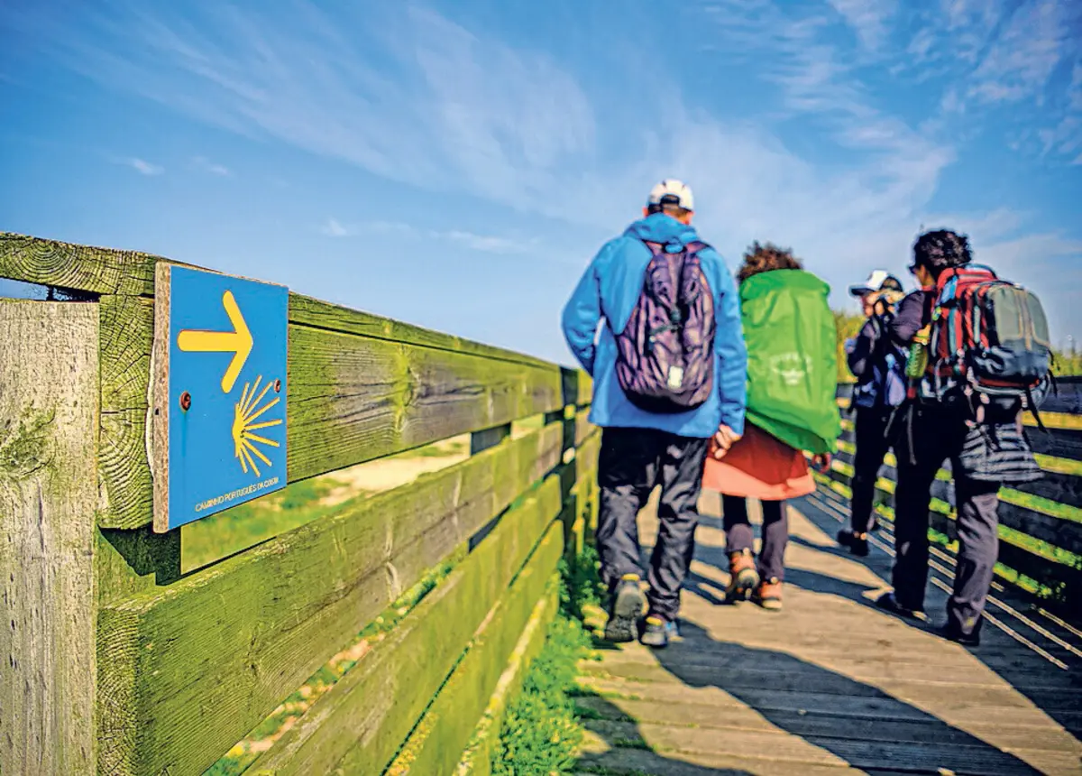 Uma das novidades deste aviso é que os edifícios a reabilitar têm de pertencer a uma rota ou rede cultural, existente ou futura