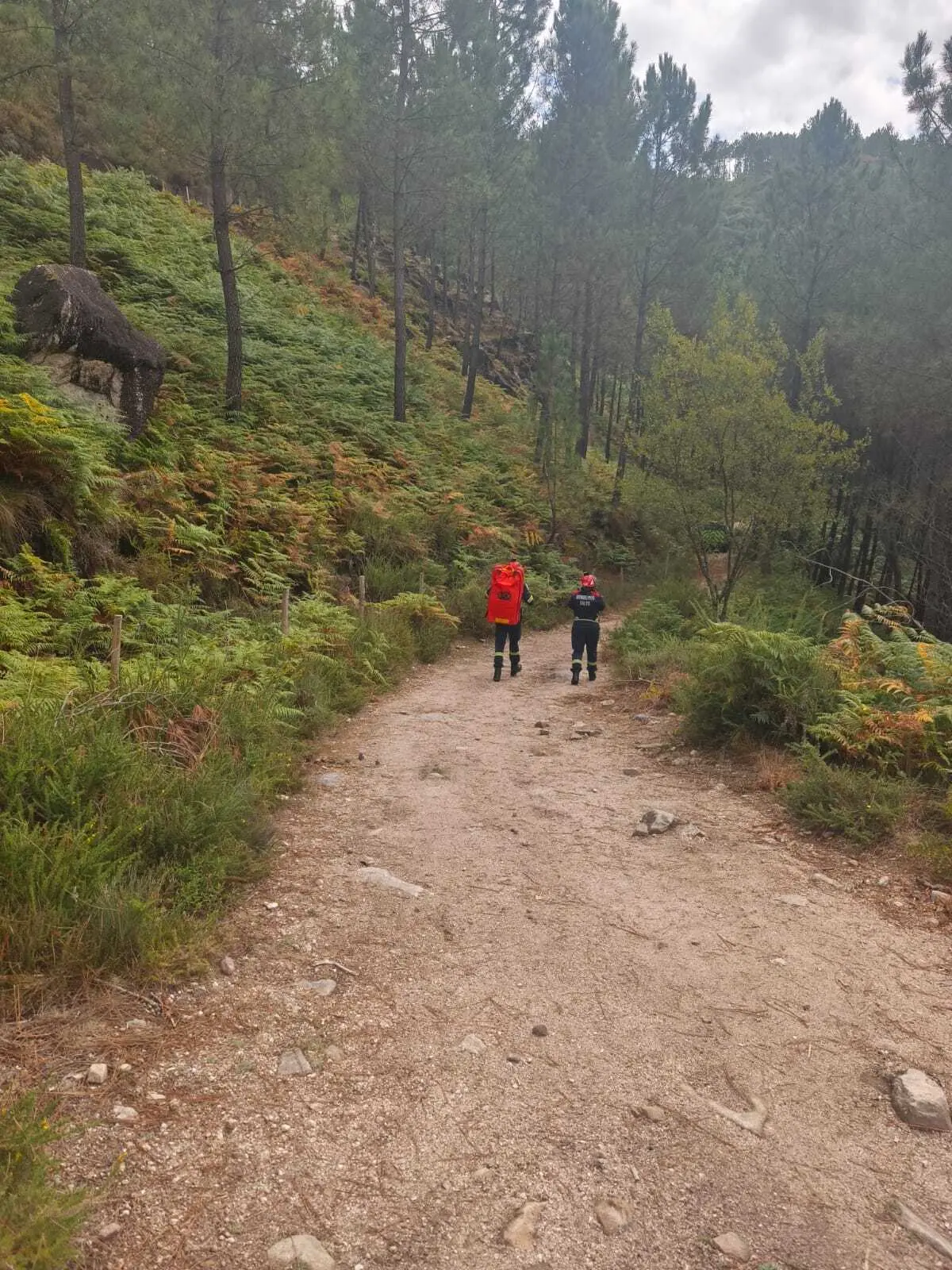 Vítima sofreu uma queda e ficou ferida numa perna