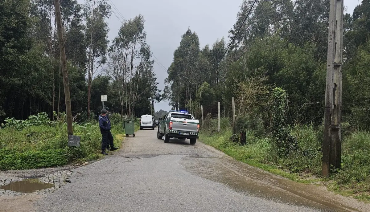 Operação para encontrar os cães