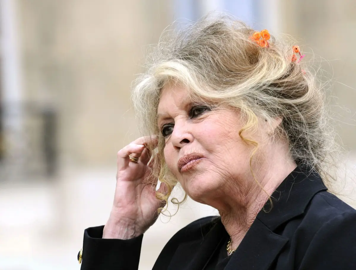 Estado de saúde de Brigitte Bardot, ícone do cinema europeu e ativista pelos direitos dos animais, volta a gerar preocupação
