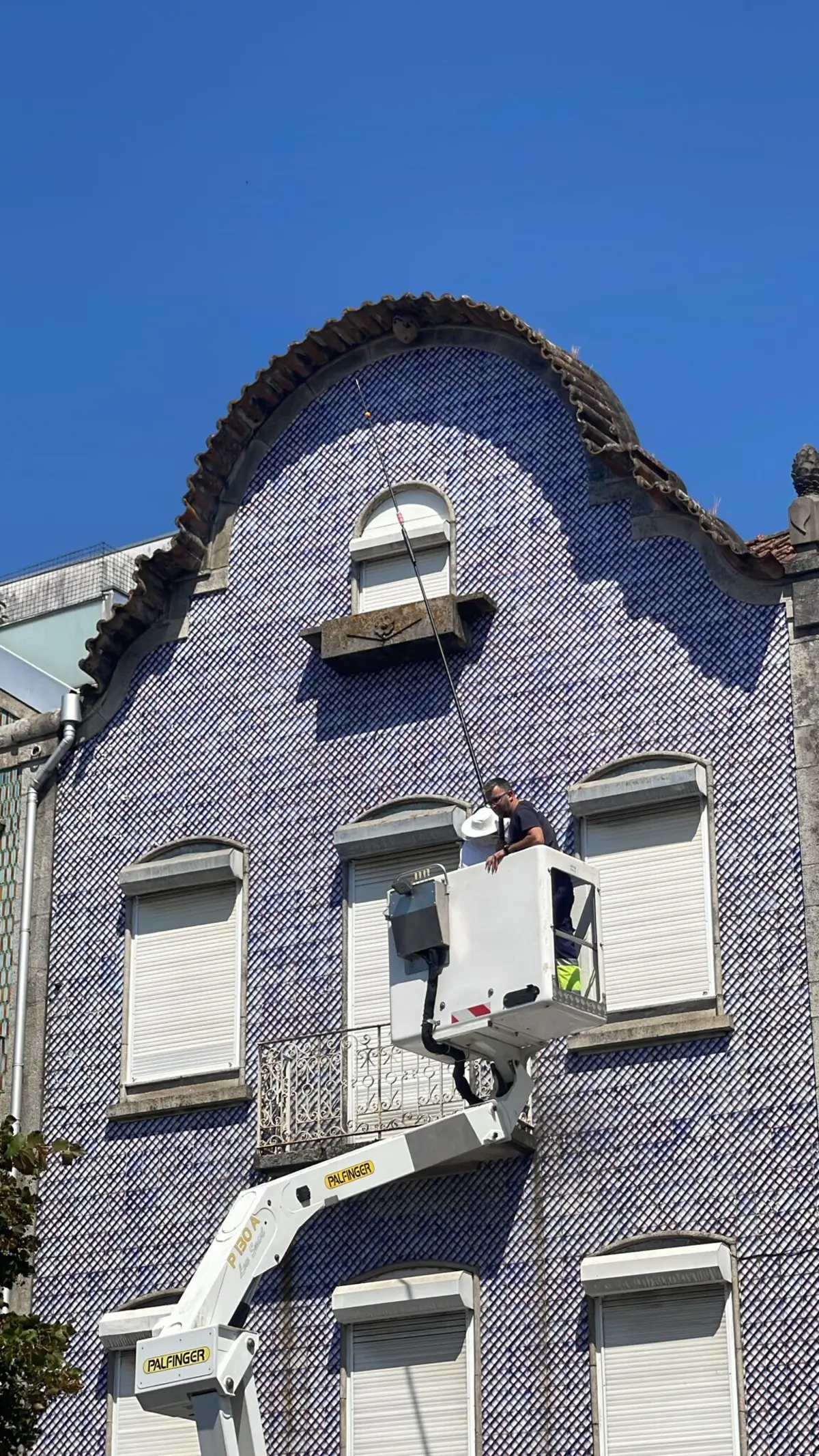 Ninho obrigou à intervenção dos serviços municipais