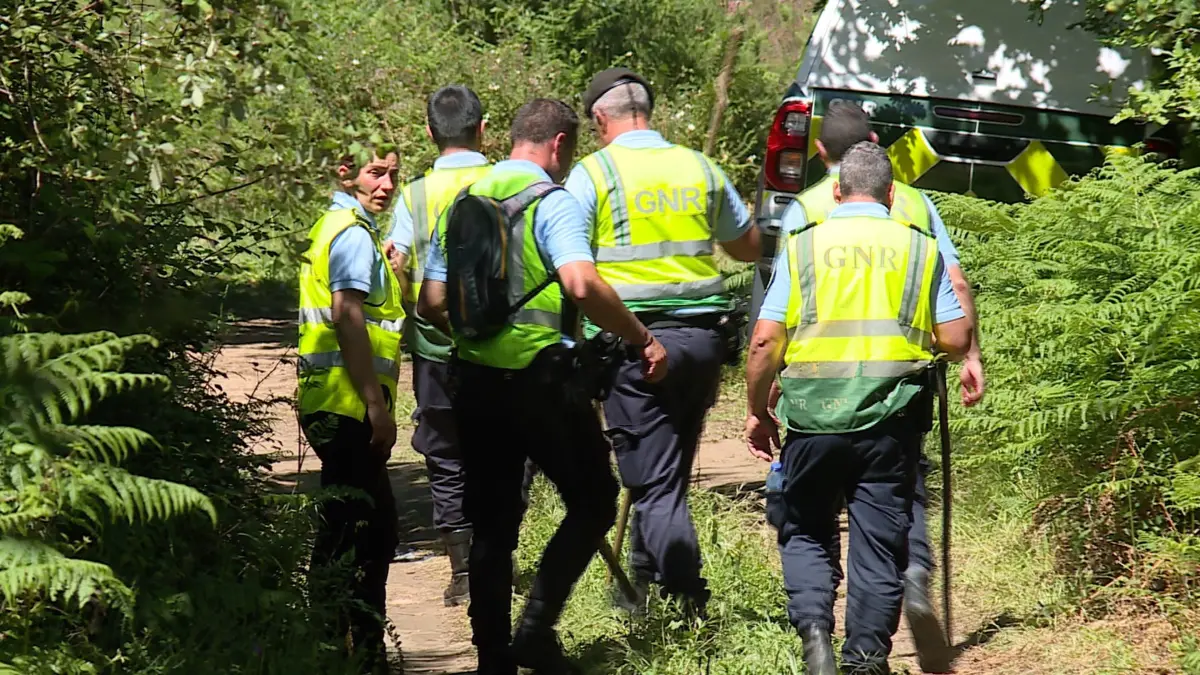 Militares vão apurar circusntâncias da morte do animal