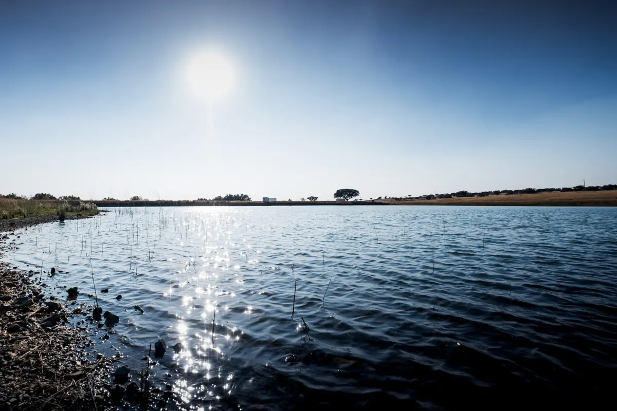Imagem de contexto do artigo Alqueva sobe 1,87 metros numa semana e está a 80% da capacidade total
