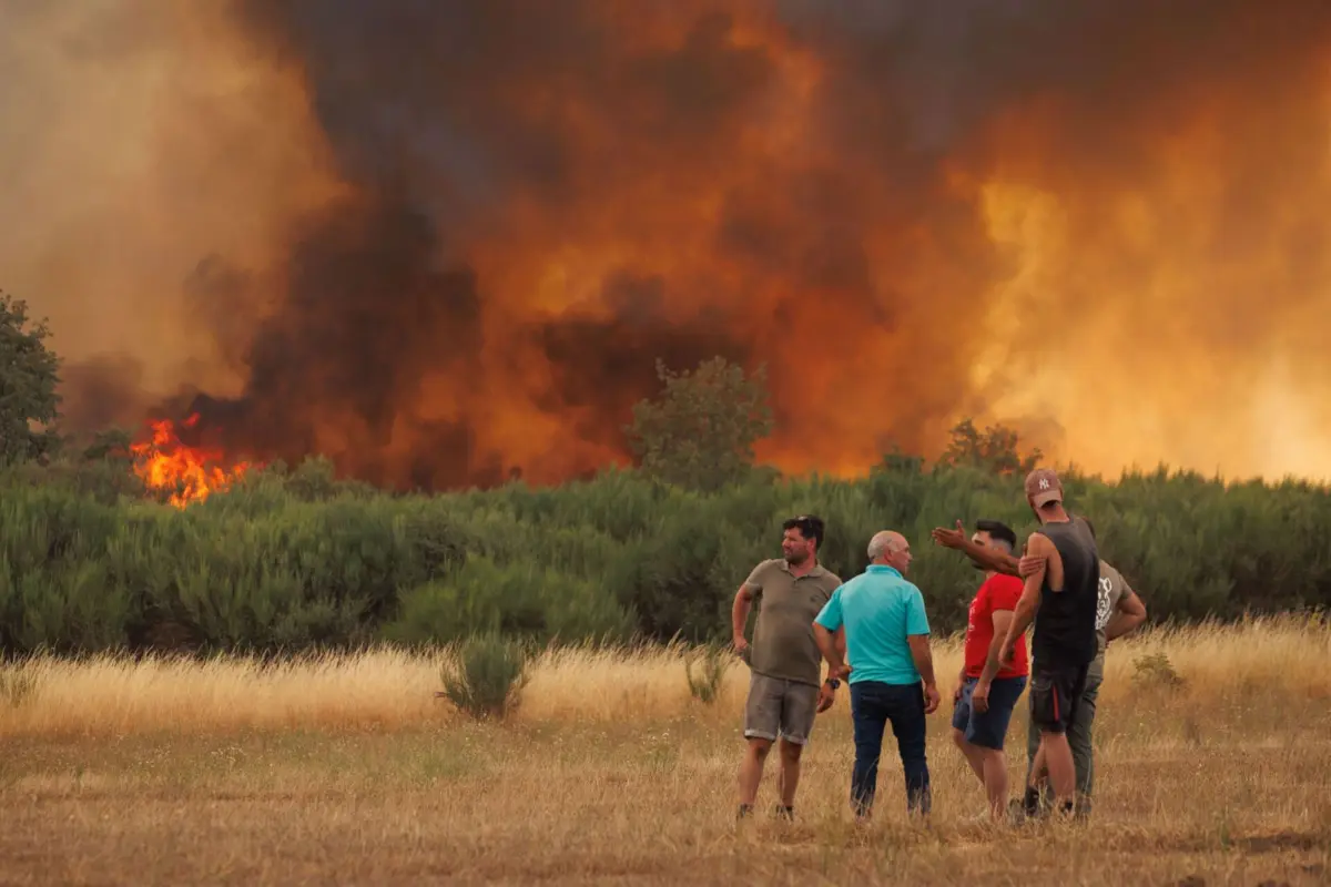Imagem de contexto do artigo Há aldeias cercadas pelas chamas nos distritos de Viseu e Guarda