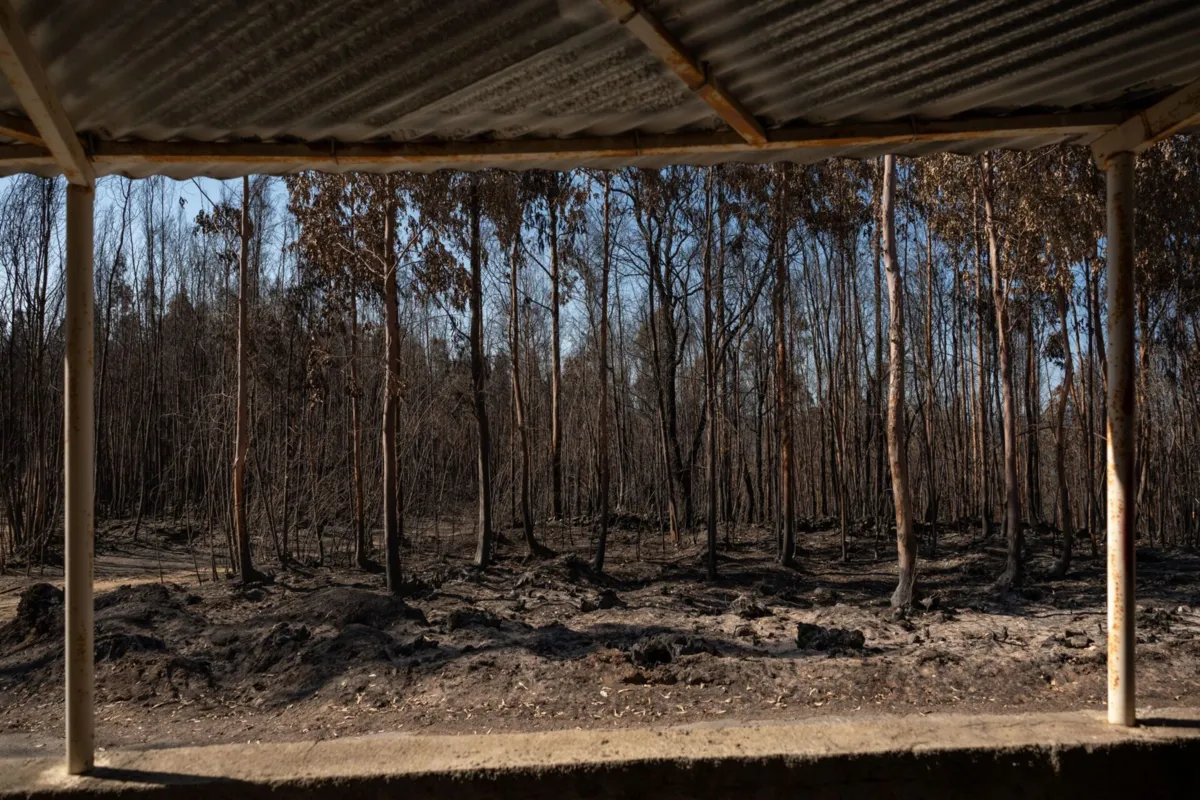 Imagem de contexto do artigo Incêndios em Portugal e Espanha levam Europa a bater recordes de emissões de carbono