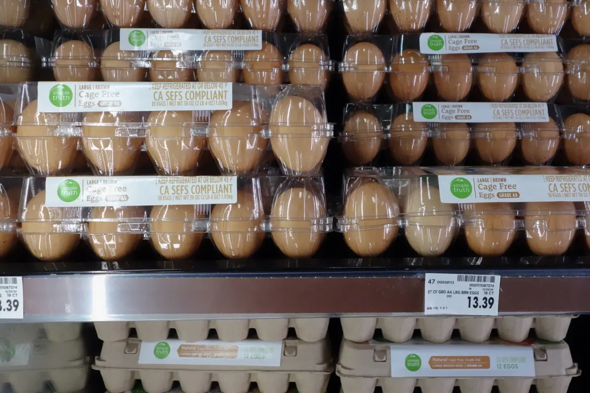 Imagem de contexto do artigo Confirmada primeira morte por gripe das aves nos EUA