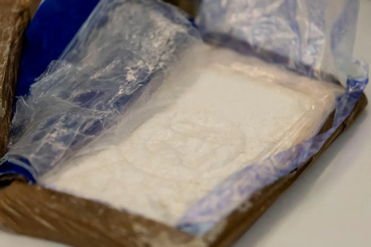 Foram apreendidas 116.509 doses de haxixe, 440 de canábis, 5597 de cocaína e 41 comprimidos de MDMA