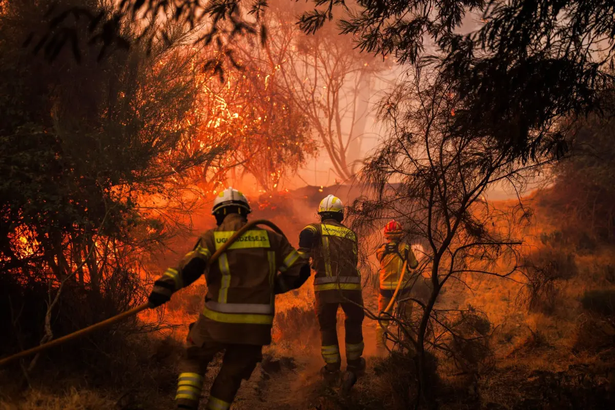 O responsável apelou a que os "incêndios não se combatem dessa forma"